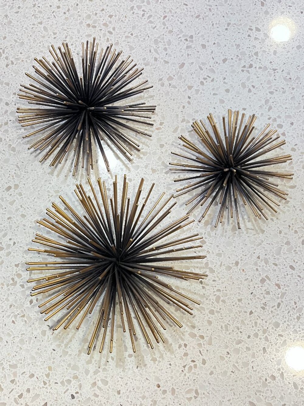 Target Project 62 Sea Urchin Wall Decor Set Gold